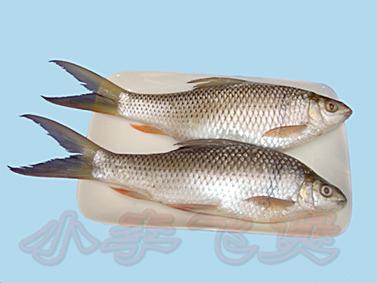 萝卜炆鲮鱼滑的做法