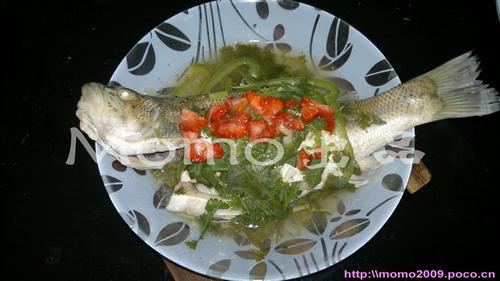 ̩ʽ�����������