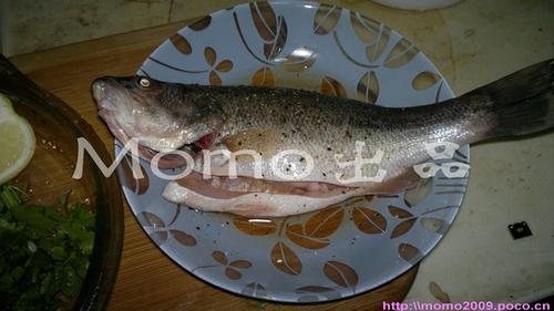 ̩ʽ�����������