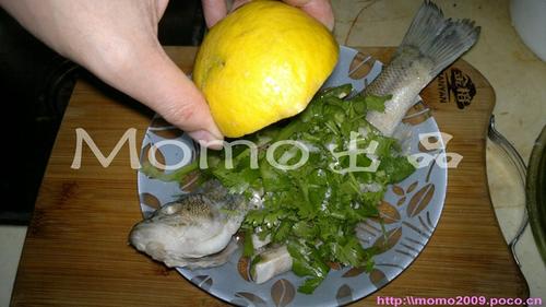 ̩ʽ�����������