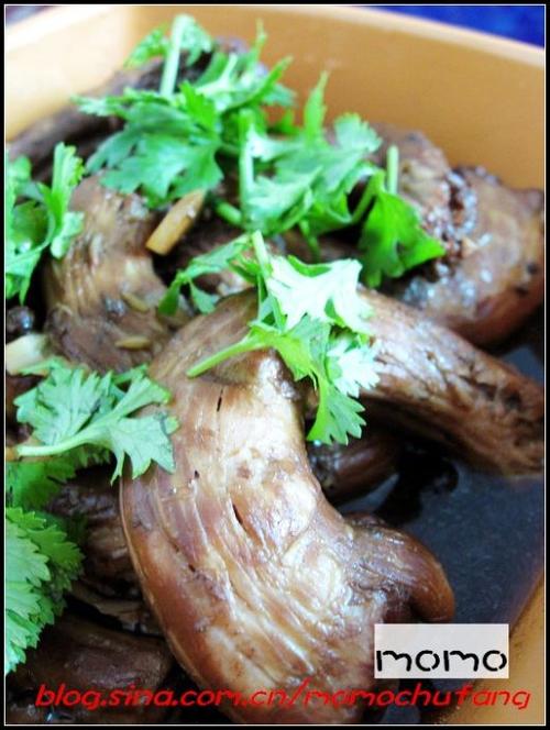 ±����������