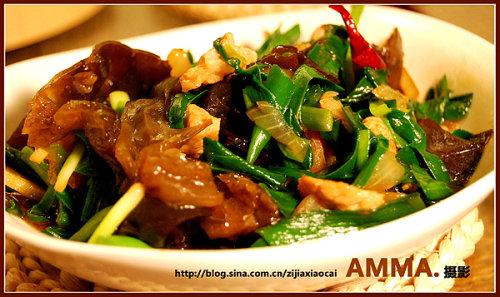 ľ���²˳���Ƭ������