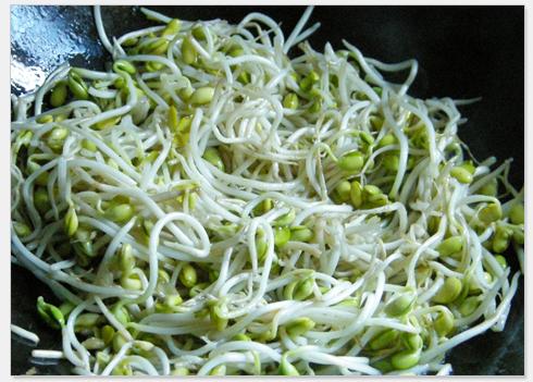 ��ѿ����˿������