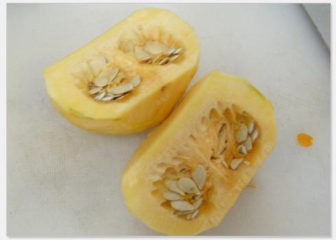 ����Ϲϳ�����������