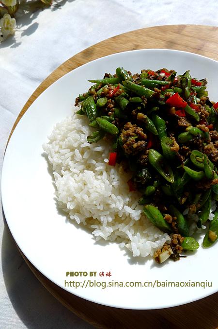 魲˶��ǵ�����