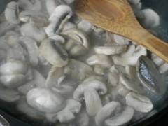 ţ�⳴Ģ��������