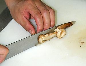 黄油罗勒煎松茸的做法