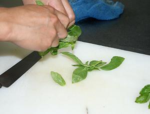 黄油罗勒煎松茸的做法