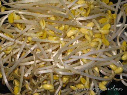 豆芽炒豆腐的做法