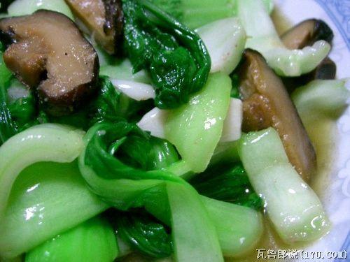 �㹽���Ϻ��������