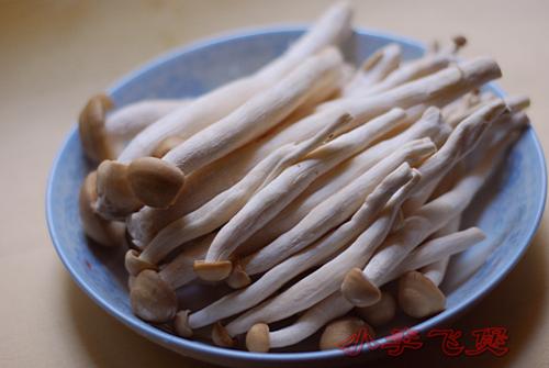 ���ʹ������������