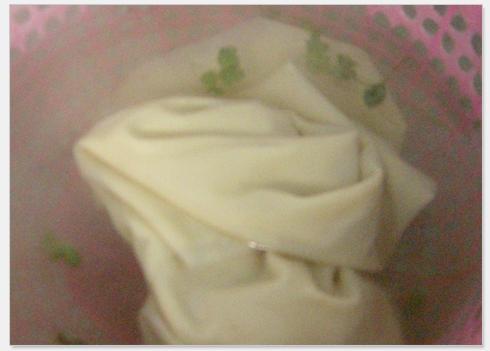 ��˰��Ҷ������