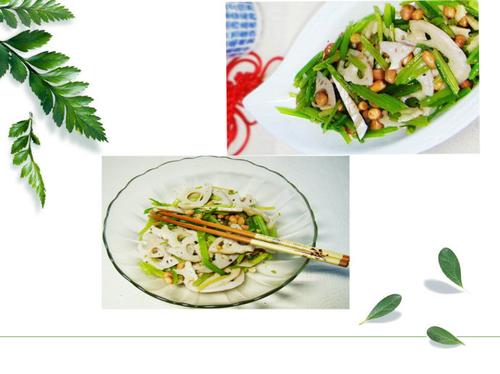 ������źƬ�����׵�����