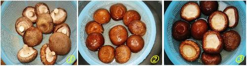 �㹽���������