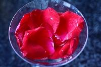 õ���߹���������