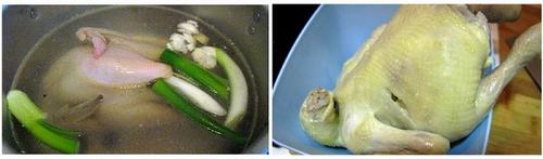 Ӫ������������