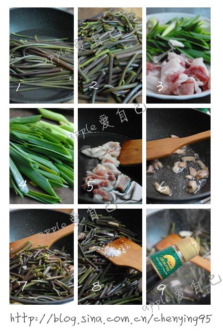 �⳴ާ�˵�����