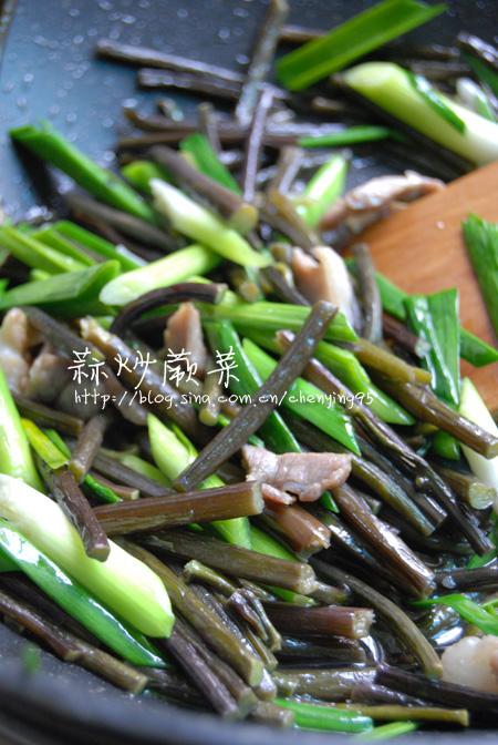 �⳴ާ�˵�����