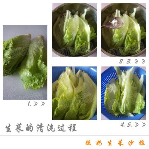 酸奶生菜沙拉的做法