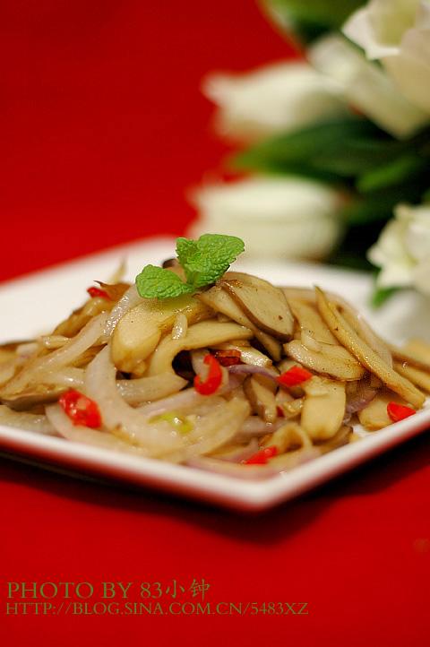 �����ӱ���������