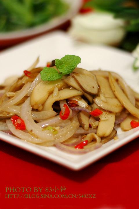 �����ӱ���������