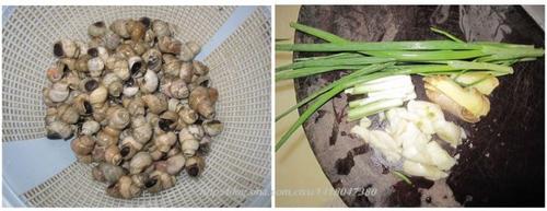 ���������ݵ�����