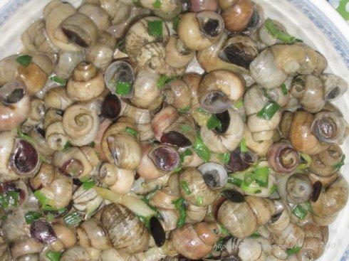 ���������ݵ�����