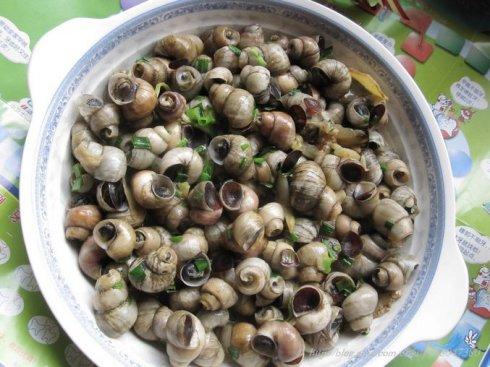 ���������ݵ�����