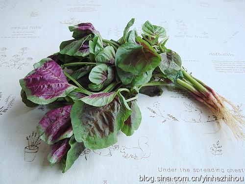 彩色凉粉的做法