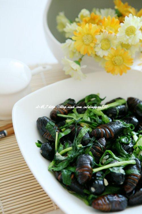 �²˳���Ӽ������