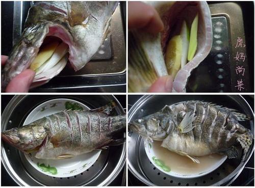 �����껨�������