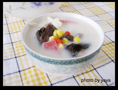 ţ�̸�����������