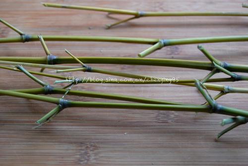 Ŵ��ź������