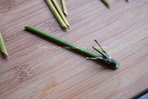 Ŵ��ź������