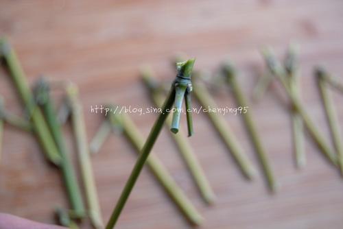 Ŵ��ź������