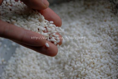 Ŵ��ź������