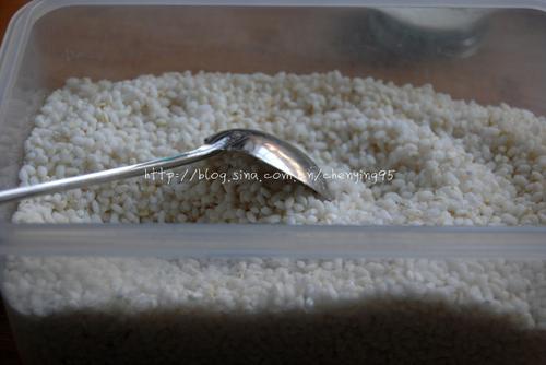 Ŵ��ź������