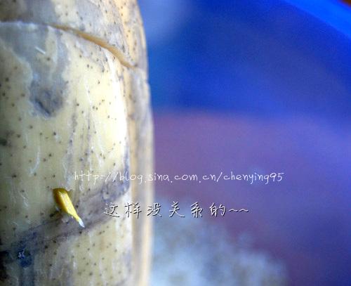 Ŵ��ź������