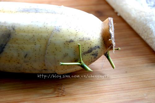 Ŵ��ź������