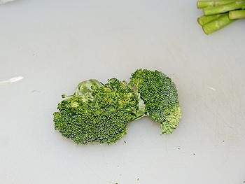 ���ݾ�ɳ���ܽ�ĩ���ͽ�������