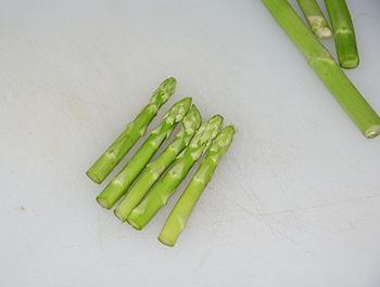 ���ݾ�ɳ���ܽ�ĩ���ͽ�������