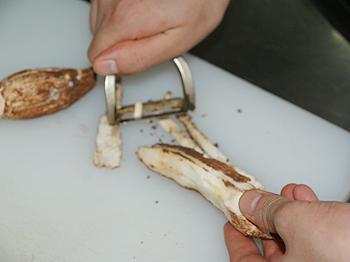 ���ݾ�ɳ���ܽ�ĩ���ͽ�������