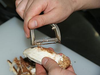 ���ݾ�ɳ���ܽ�ĩ���ͽ�������