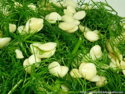 ������������ݵ�����