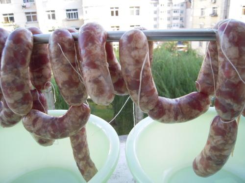 ���Ʒ�ɳ�������