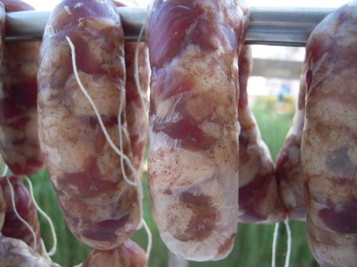 ���Ʒ�ɳ�������