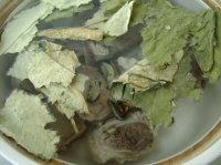 ��Ҷ��ź�ȹ���������