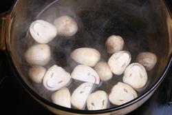 �ݹ��֭ţ��������