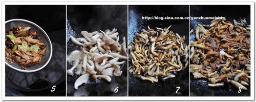 �ͽ�Ģ��������