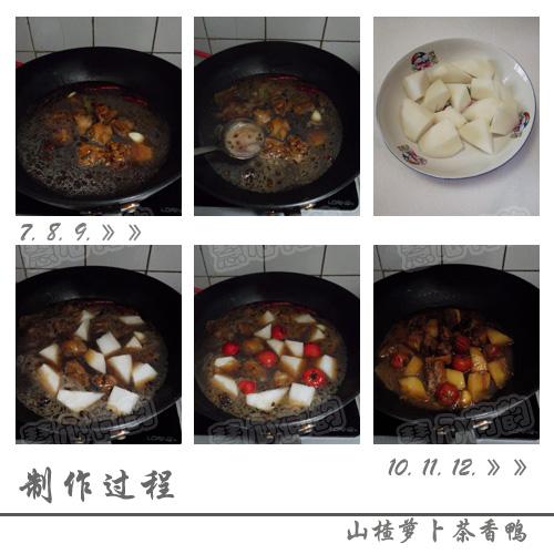 ɽ��ܲ�����Ѽ������